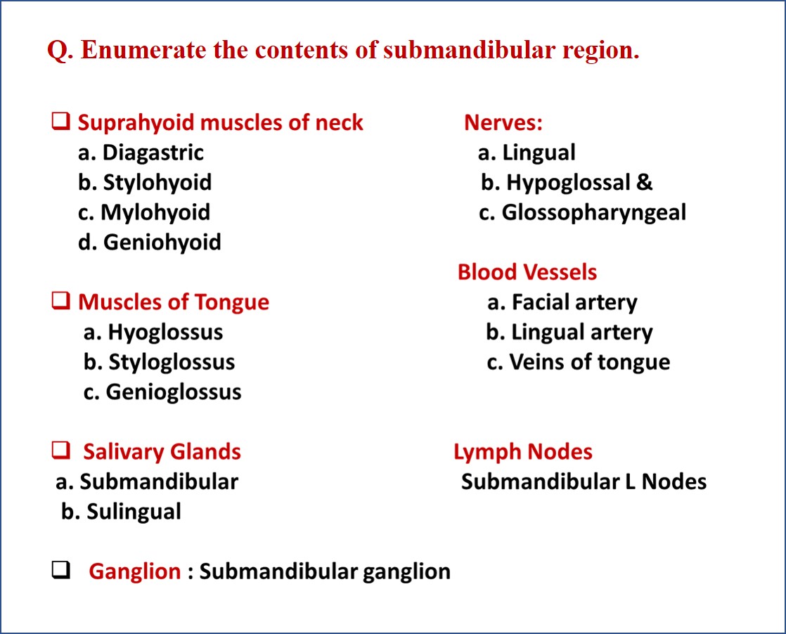 Submandibular Region - Anatomy QA