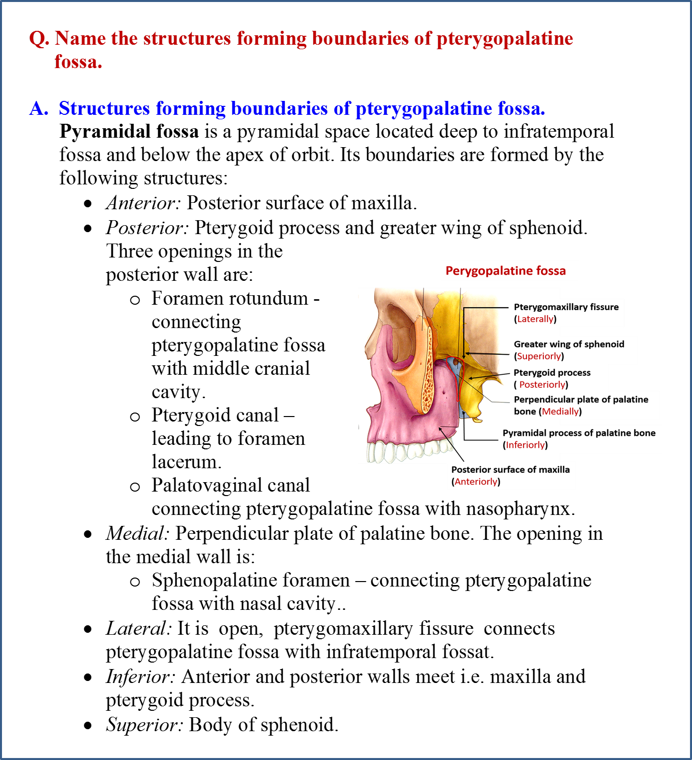 Anatomy G63 Pterygopalatine Fossa Anatomy Unit 8 Flas 4636