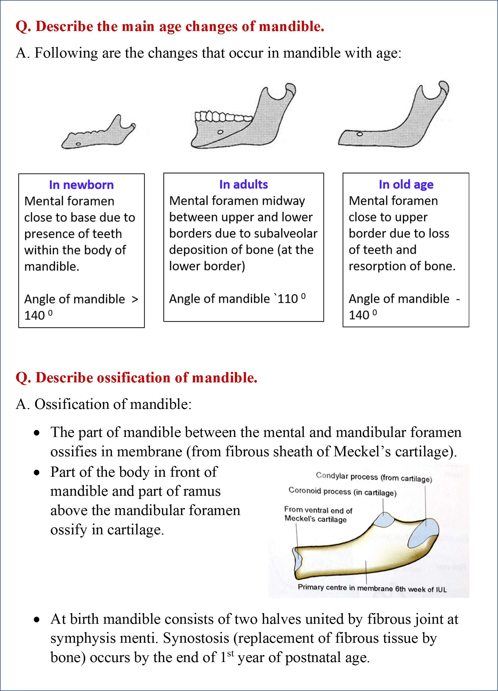 Age changes and ossification of mandible