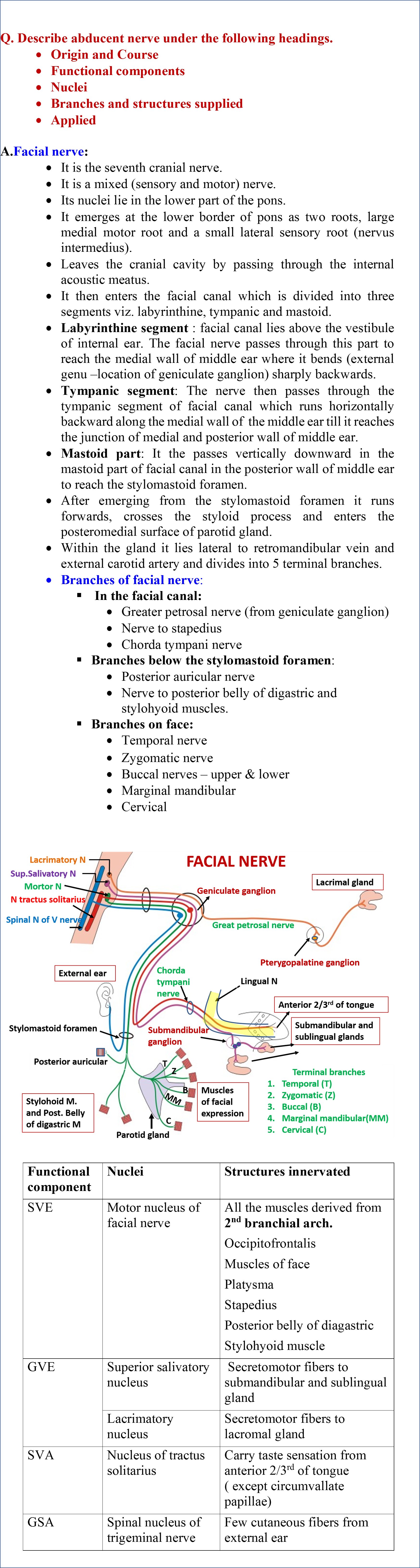 Cranial Nerves - Anatomy QA