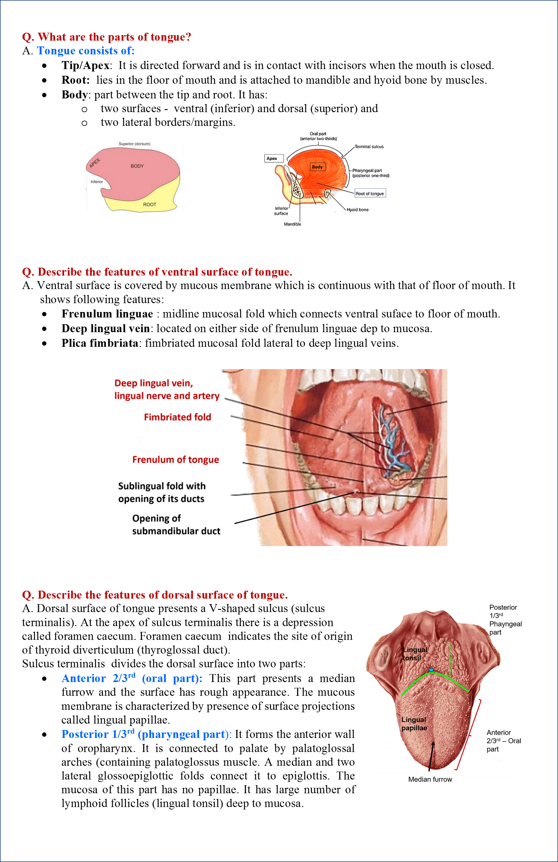 Tongue Anatomy QA