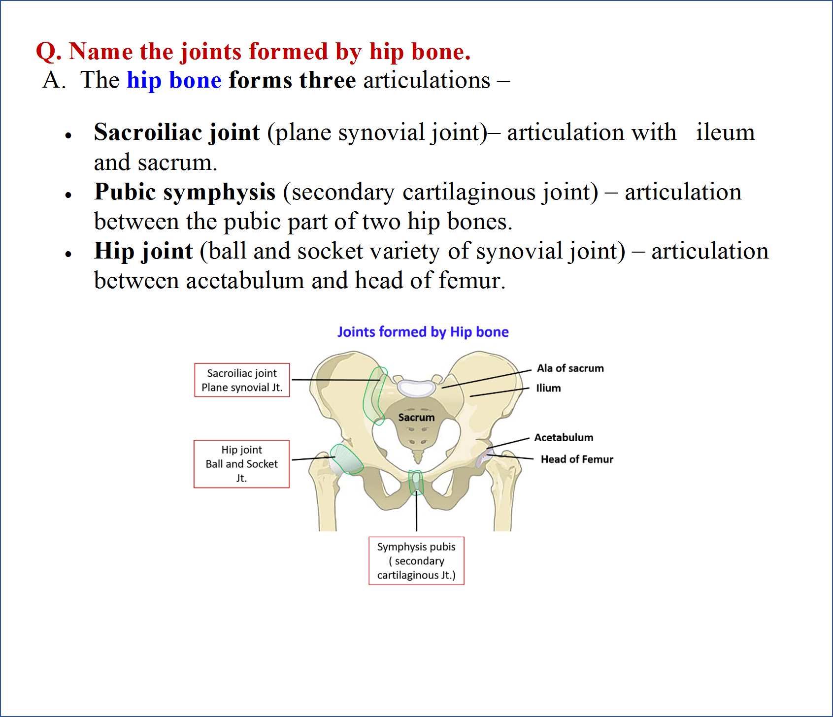 joints formed by hip bone