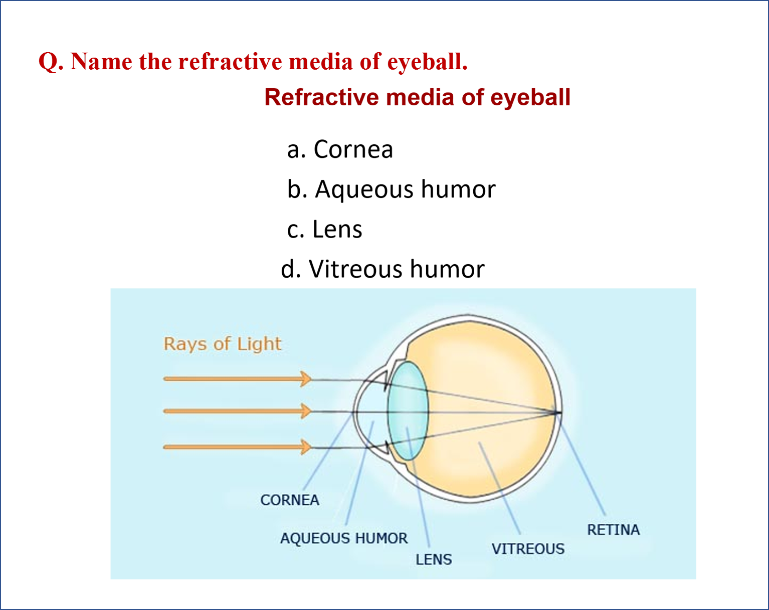 refractive media of eyeball