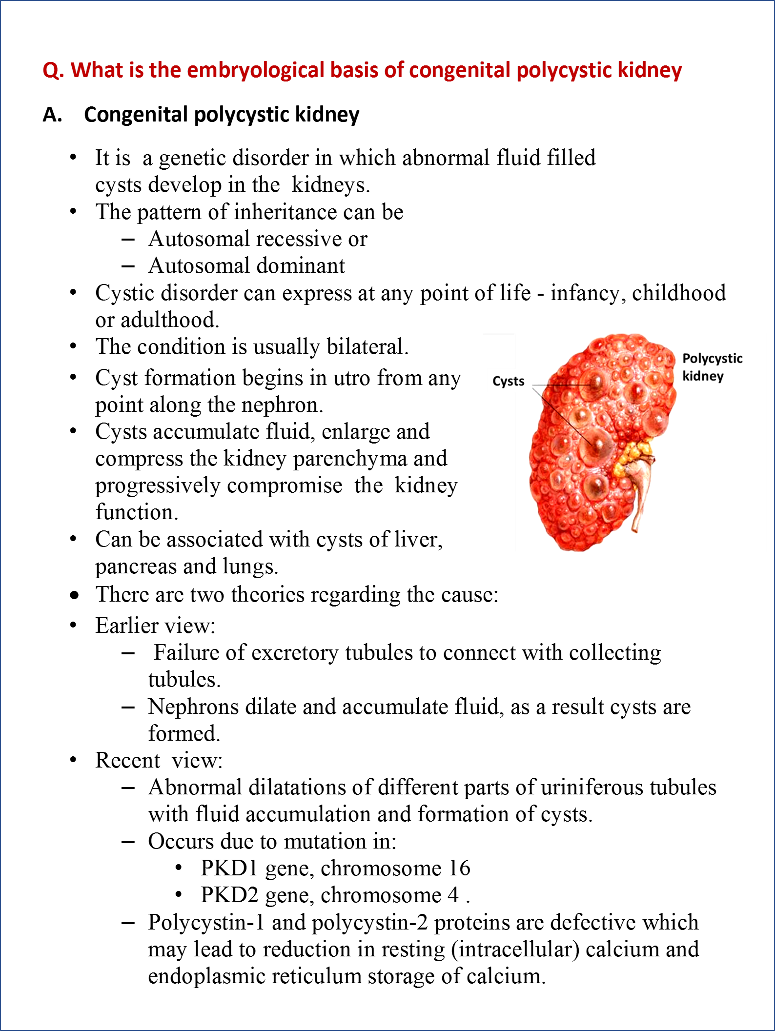 congenital polycystic kidney