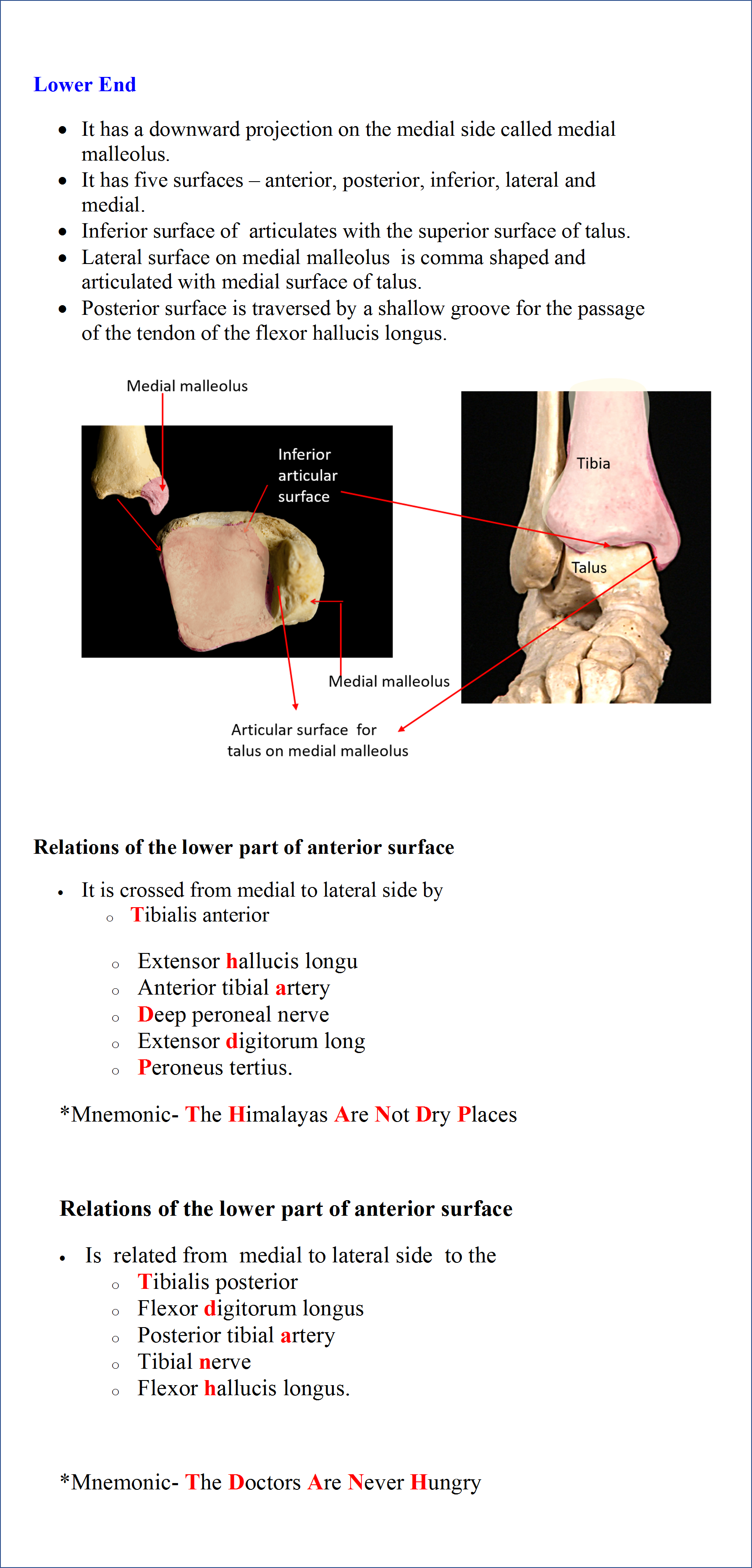 Lower End of Tibia