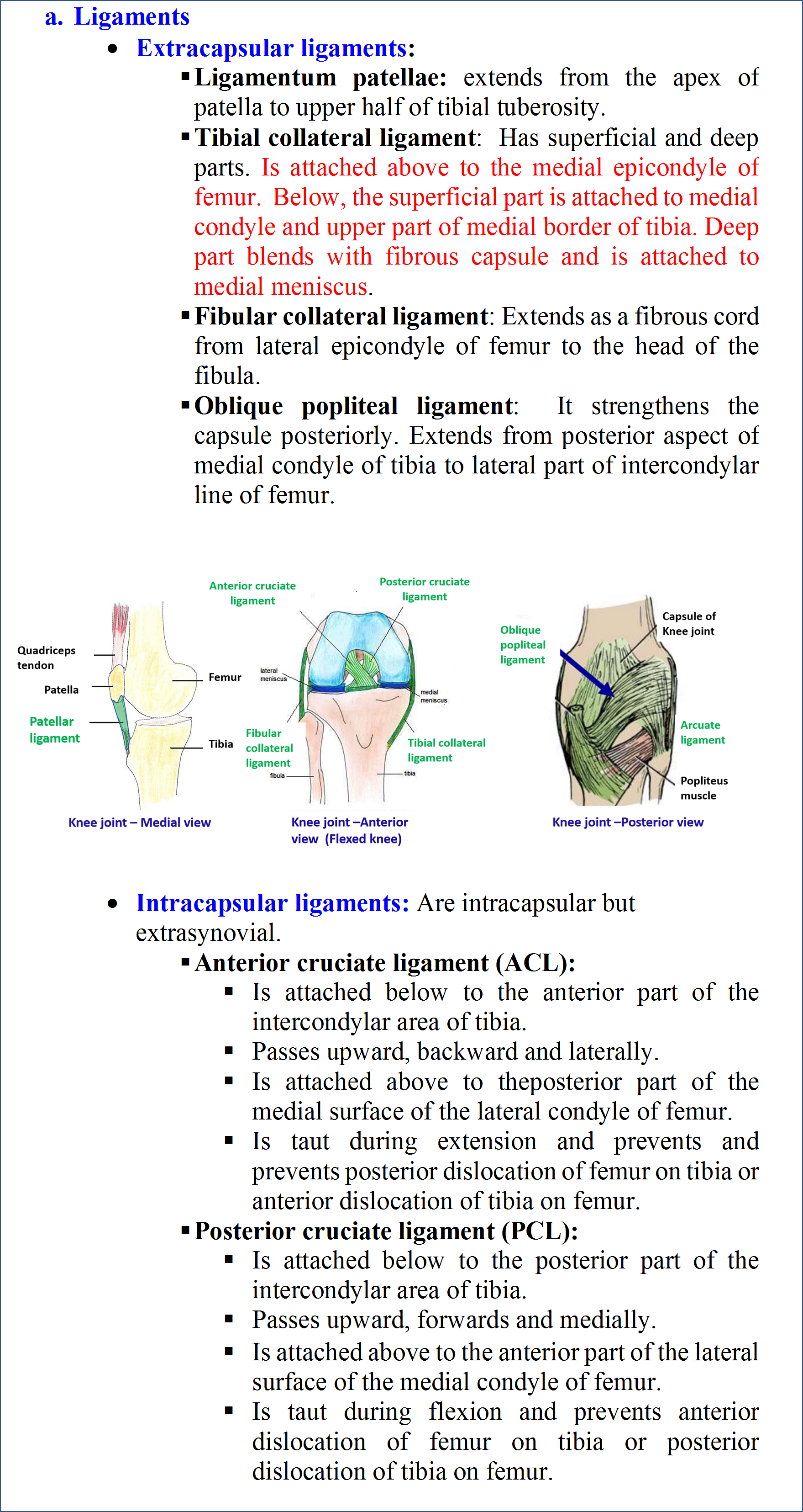 knee joint - ligaments