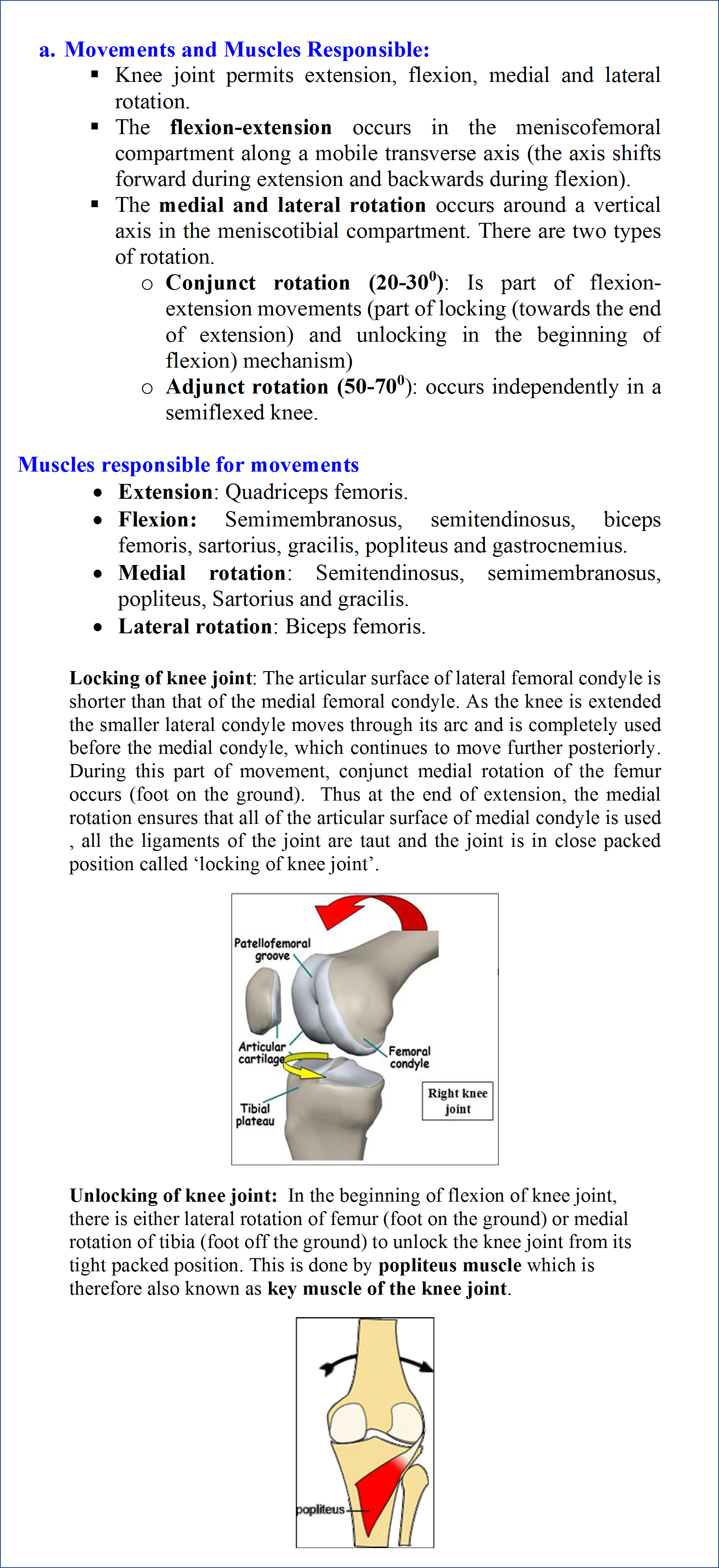 knee joint- movements, locking and unlocking of knee joint