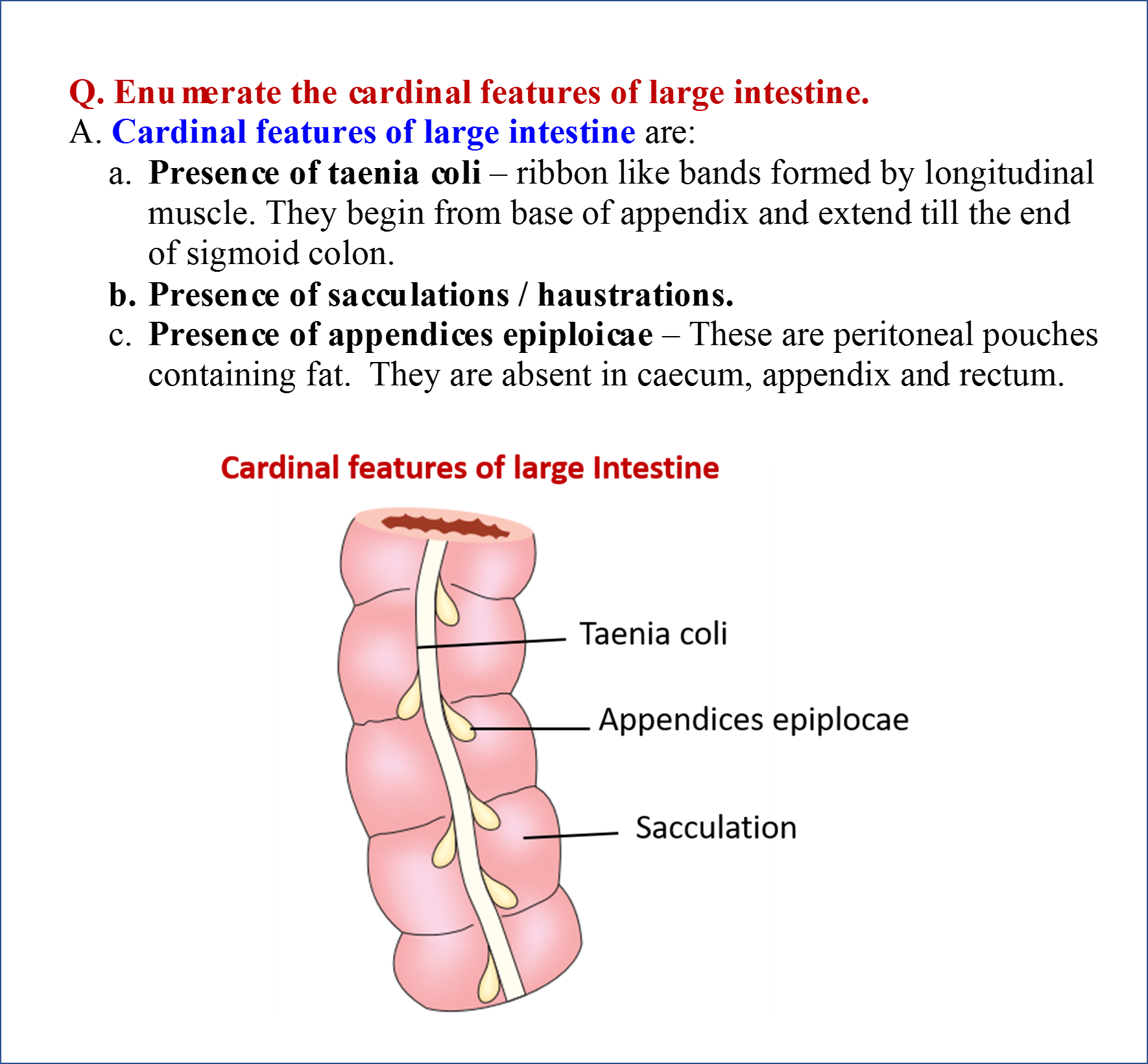 Cardinal Features of Large Intestine