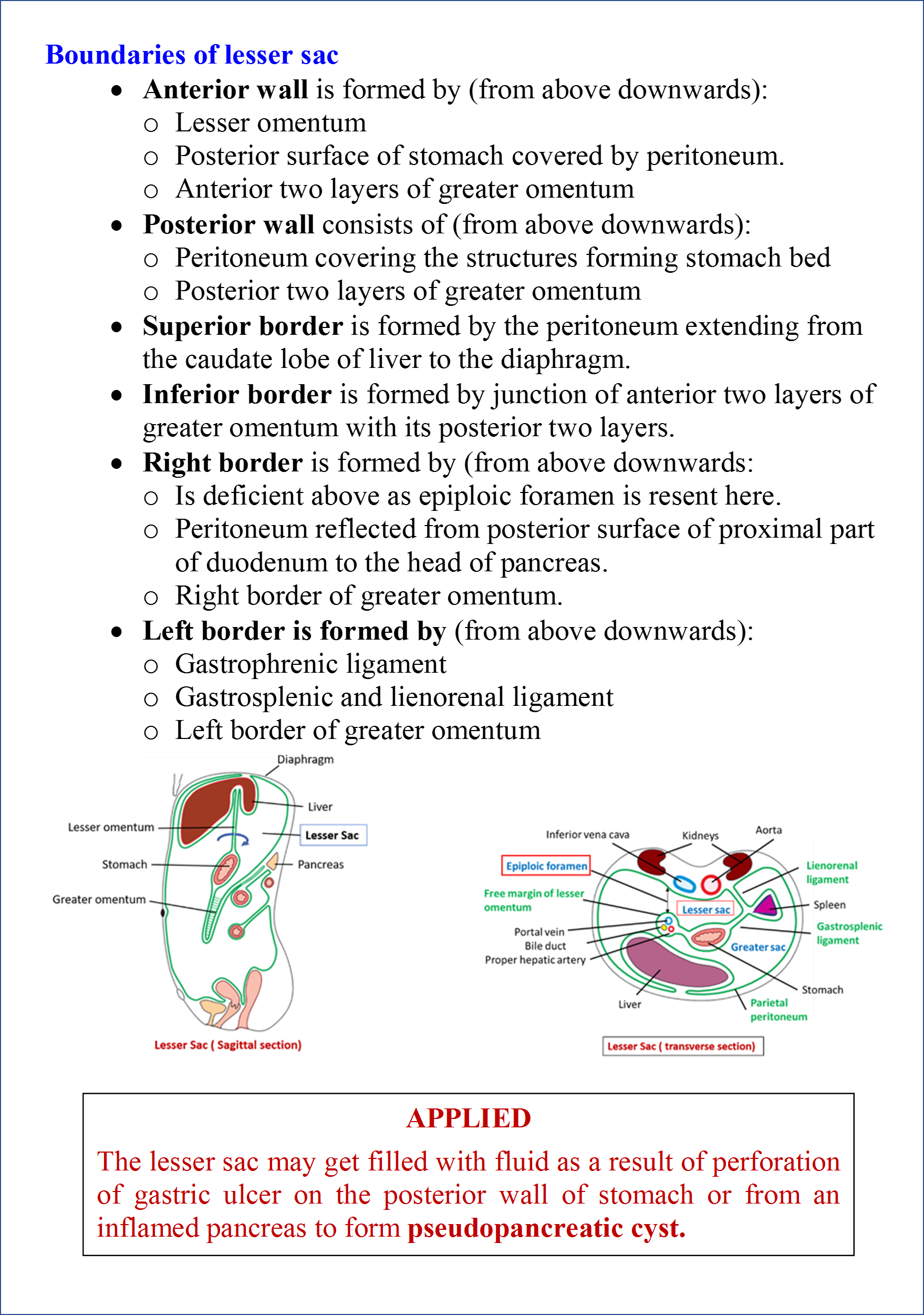 Lesser Sac And Epiploic Foramen Anatomy Qa 6373