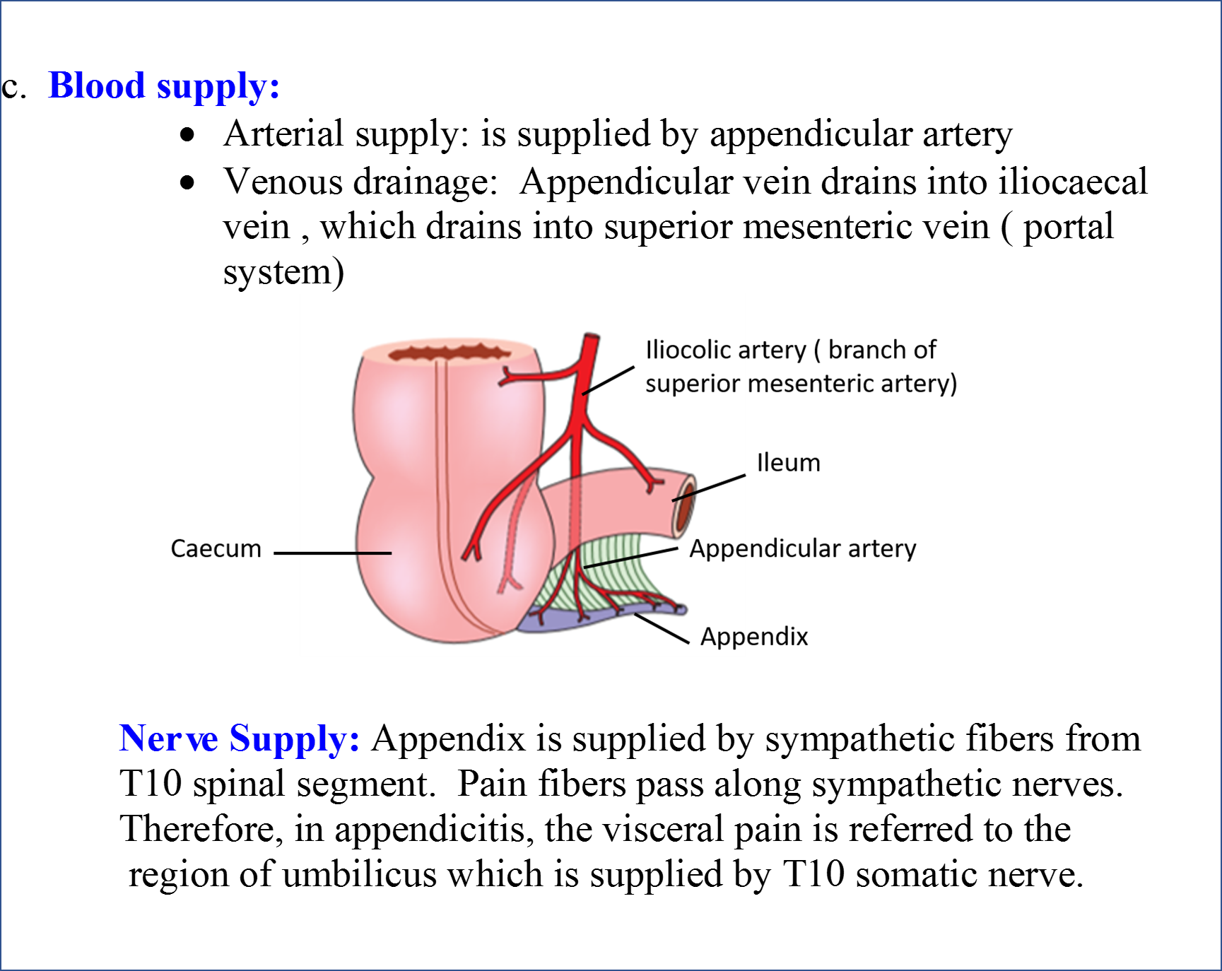 appendix-anatomy-youtube
