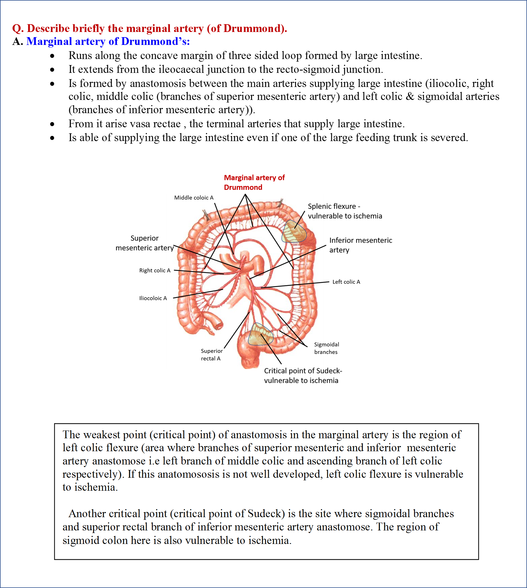 Formation of Marginal Artery of Drummond and Critical Points