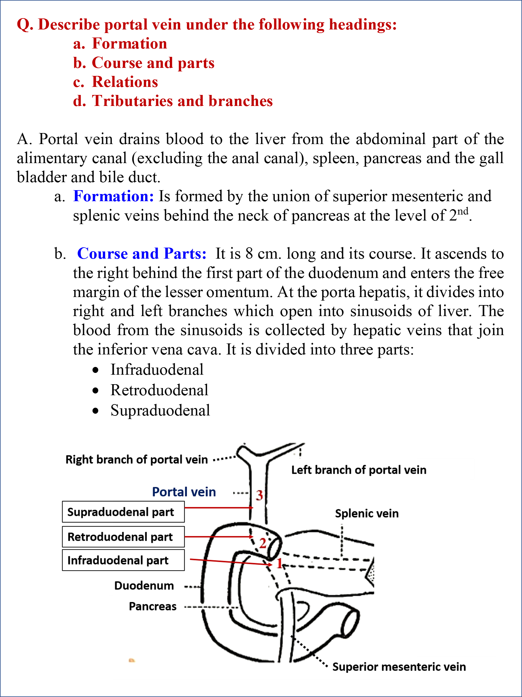 Formation, Course and Parts of  Portal Vein